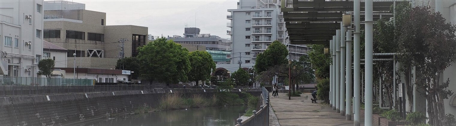 帷子川の様子
